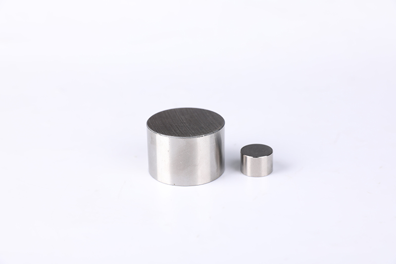 Alnico plug magnet